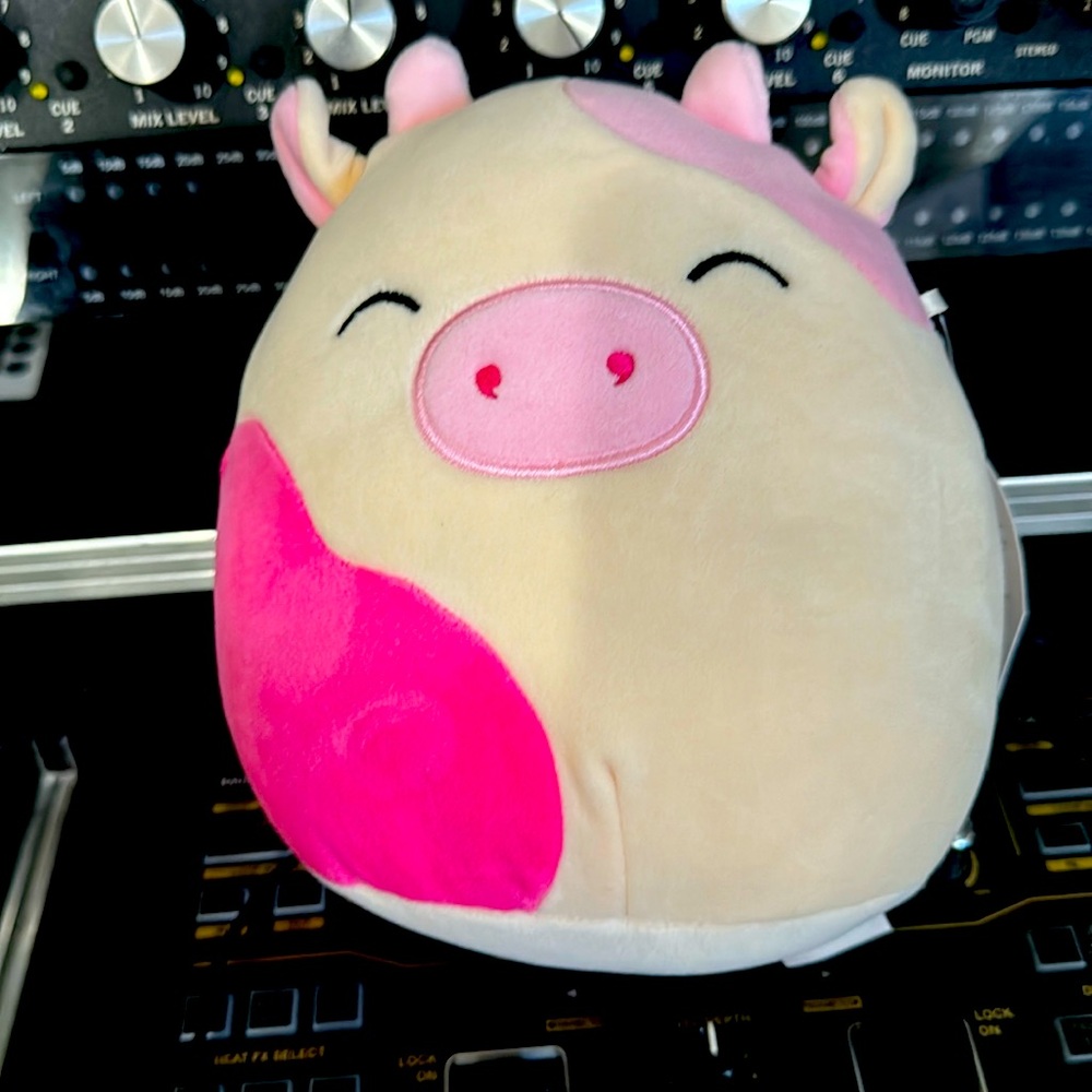 Squishmallow Caedyn Pink 7”